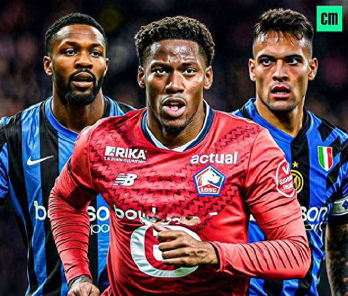 的观赏性 的观赏性