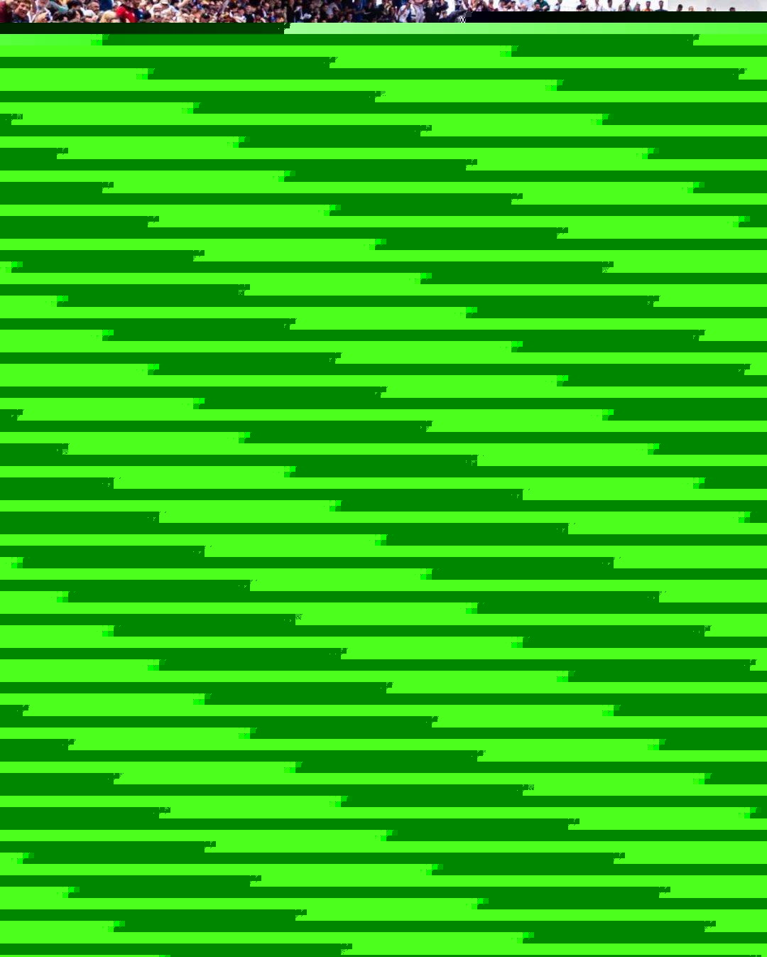 拉开帷幕 拉开帷幕