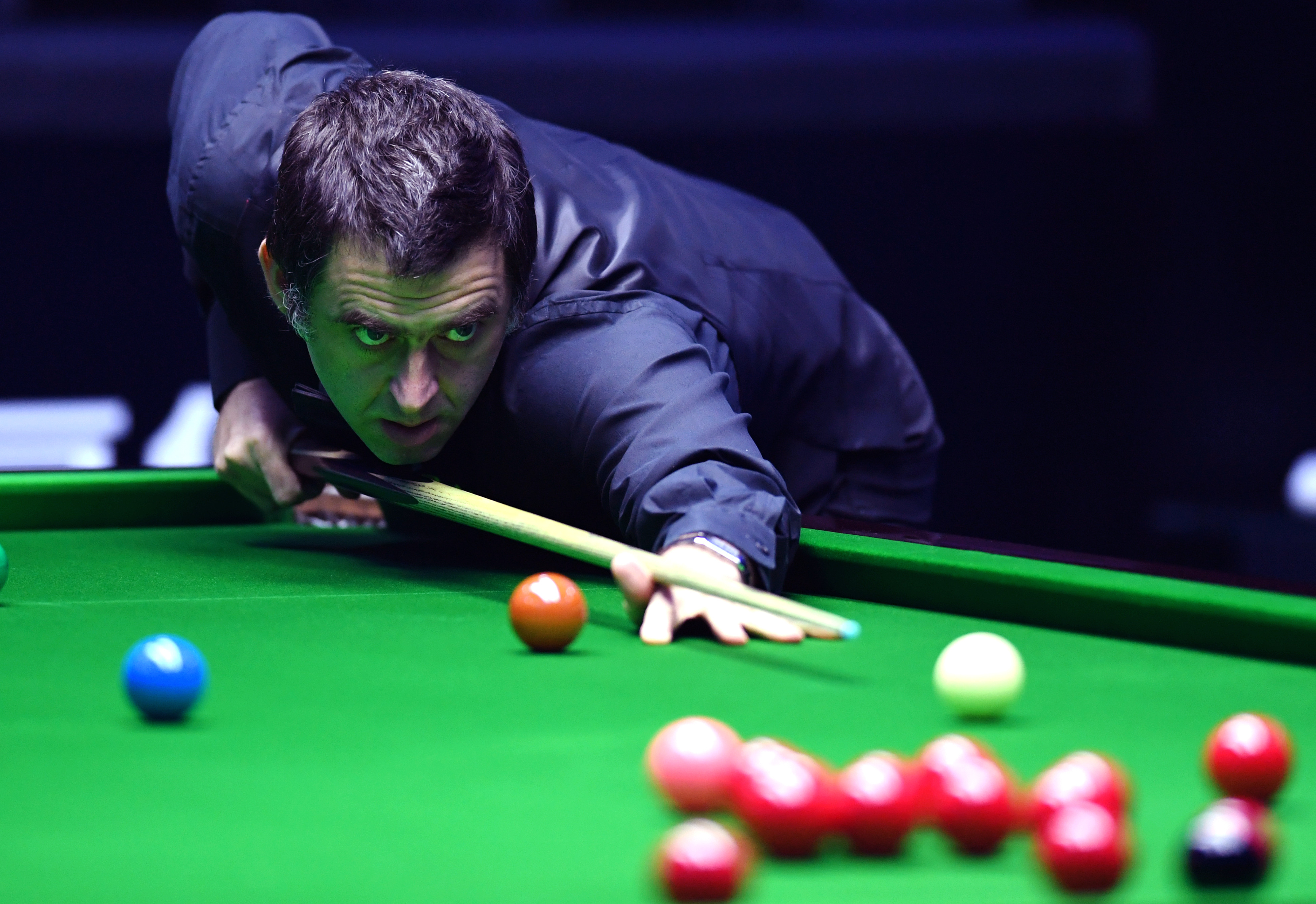 你将本文的 你将本文的