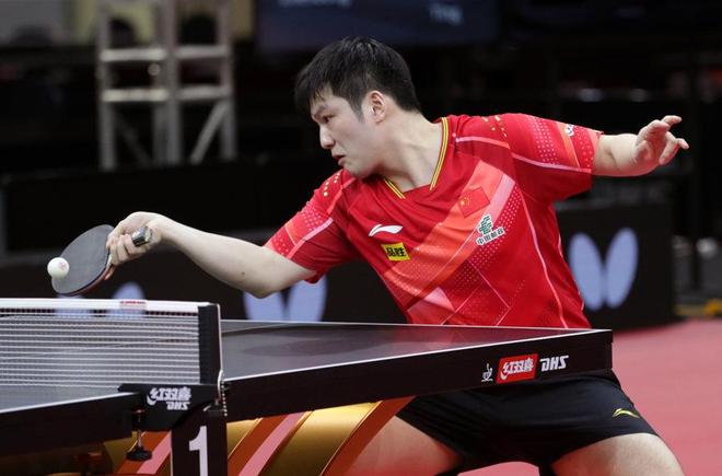 的转会费 的转会费