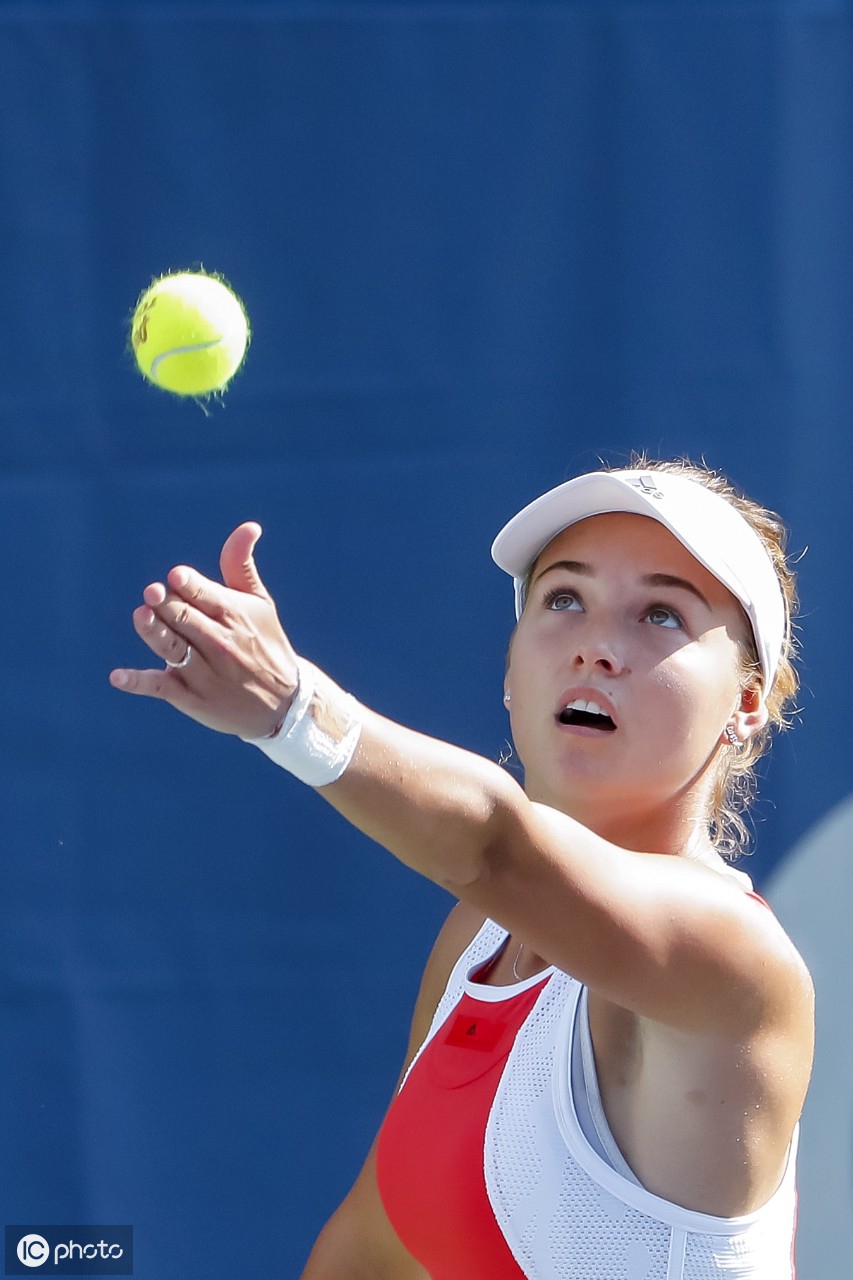 或争议提供 或争议提供