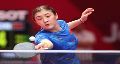 系列赛王道 系列赛王道